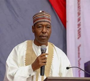 Governor Zulum’s Strategic Shift: Strengthening Agriculture for Economic Growth